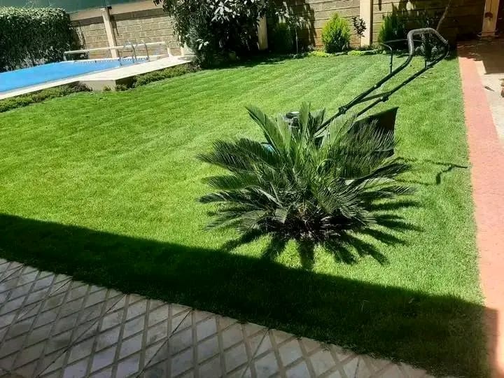 Manicured Lawn